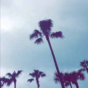 Meet your Posher, Trinity